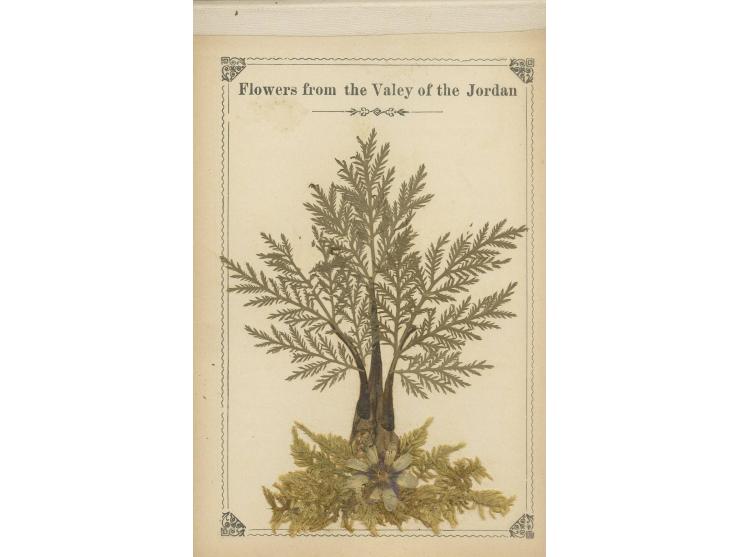Abraham Moses Luncz – Three Albums of Pressed Flowers / Two Palestine Almanacs and the Work